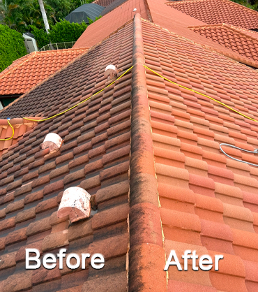 Mr. Clean Roof Pressure Cleaning (Before-After)